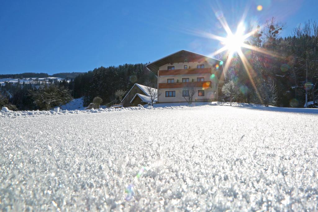 Rosspointnerhof Hotel Хаус им Енщал Екстериор снимка
